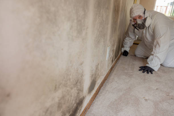 Best Forensic Mold Investigation  in Highspire, PA